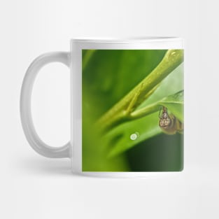 Drinking bee Mug